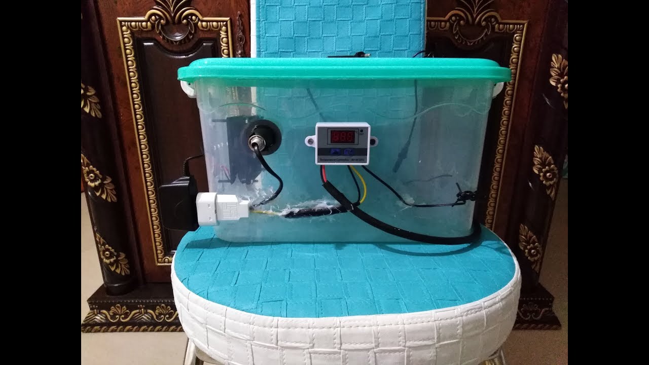 فقاسة صنع منزلي بمواد بسيطة