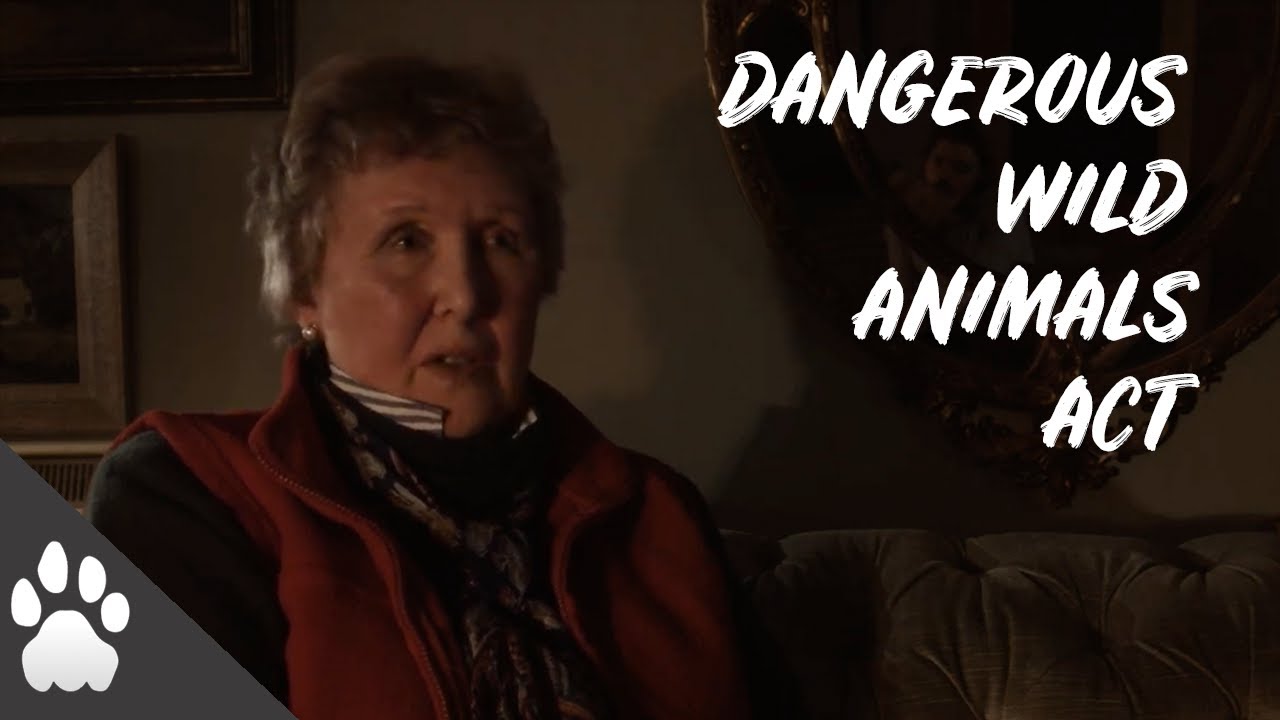 Merrily Harpur | The 1976 Dangerous Wild Animals Act