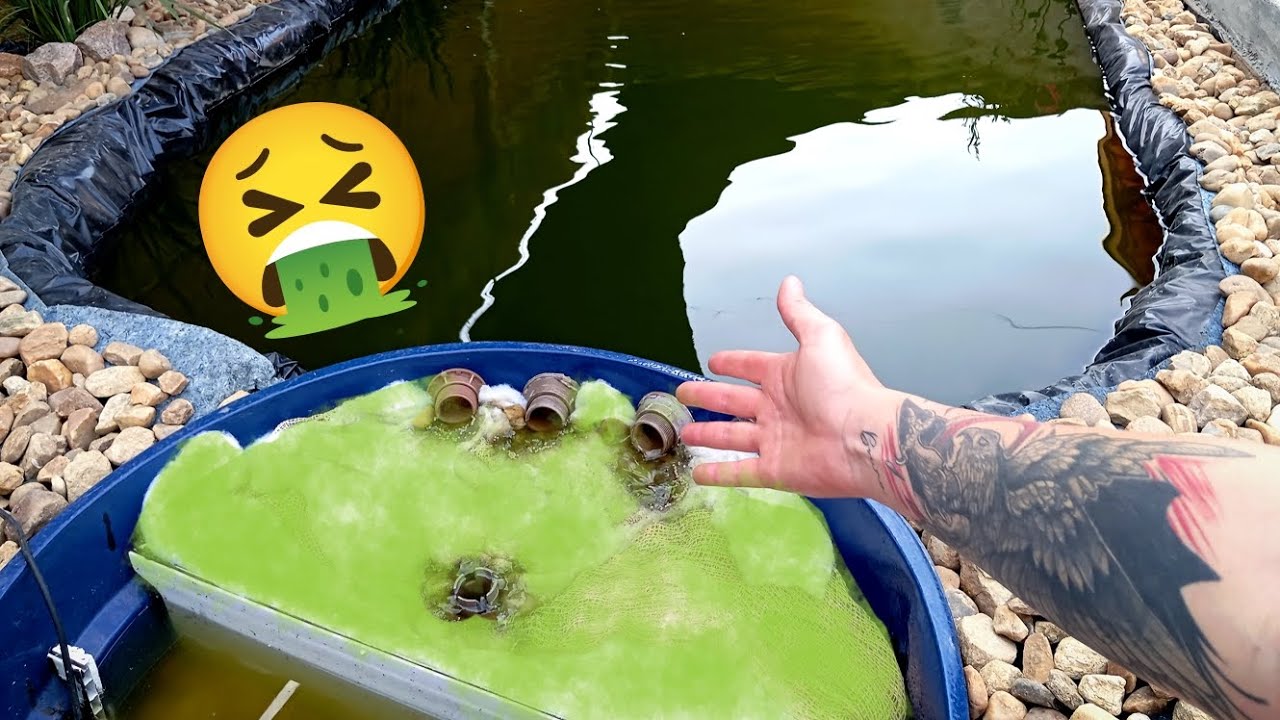 “Transformando um Filtro : De Podre a Perfeito!”