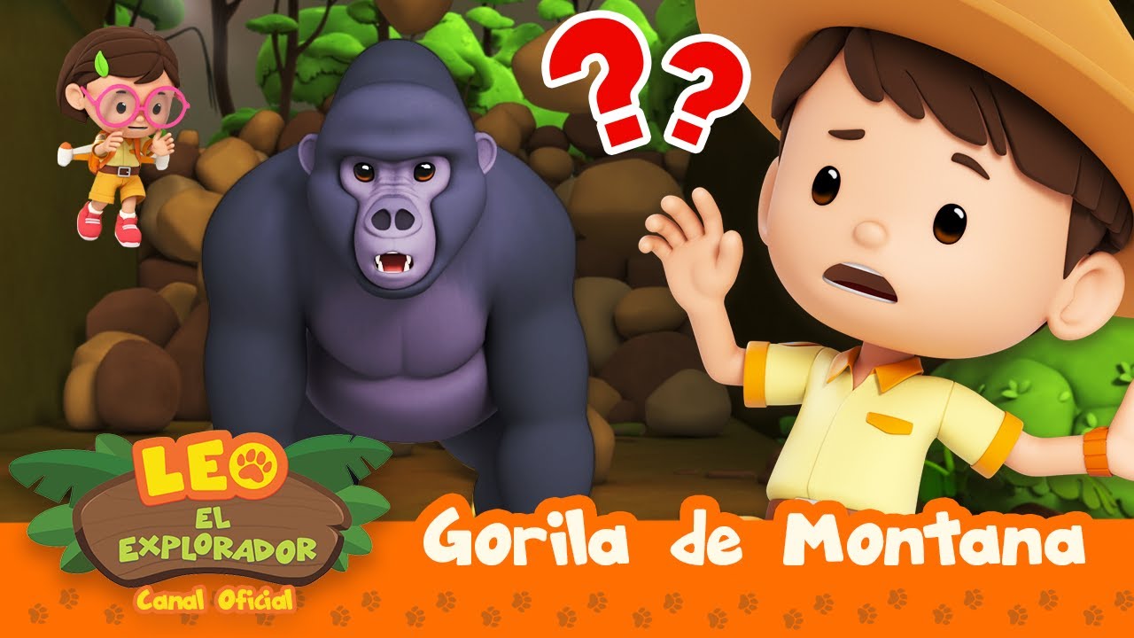 &iexcl;GORILAS DE MONTA&Ntilde;A est&aacute; PERDIDO! 🦍 | Leo, El Explorador | Animaci&oacute;n | #compilation