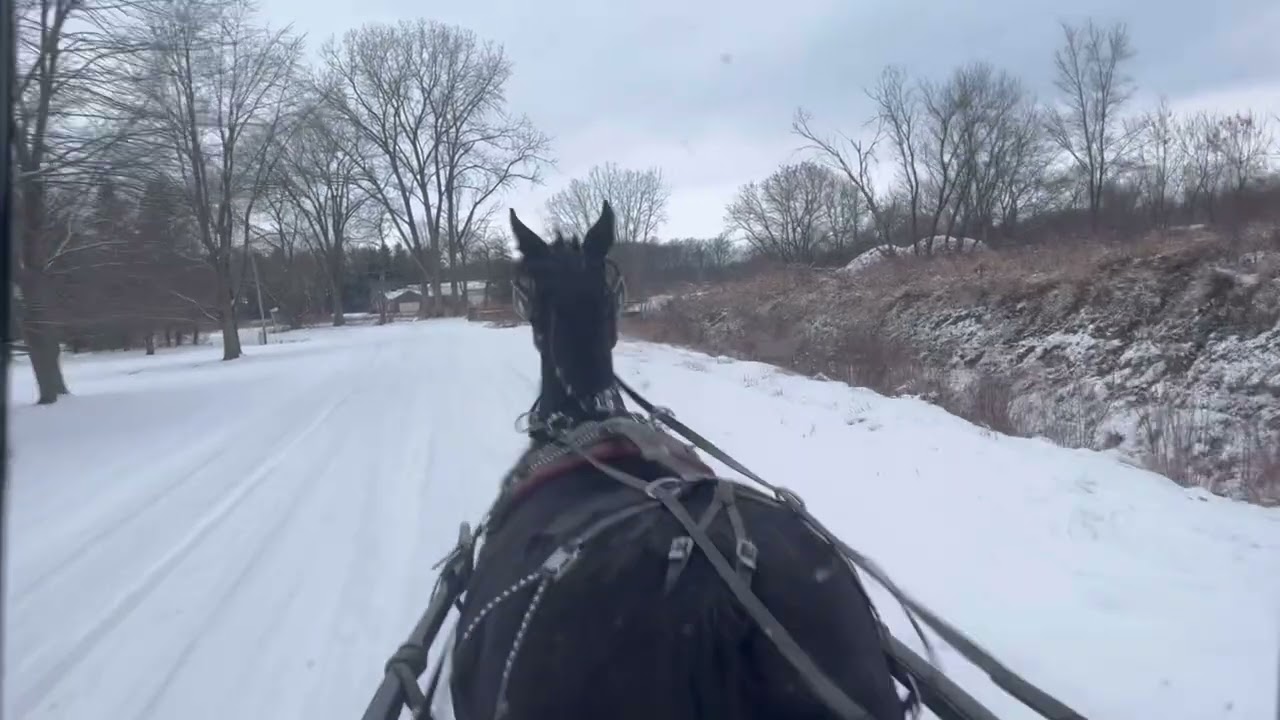 Snowy drive home. 