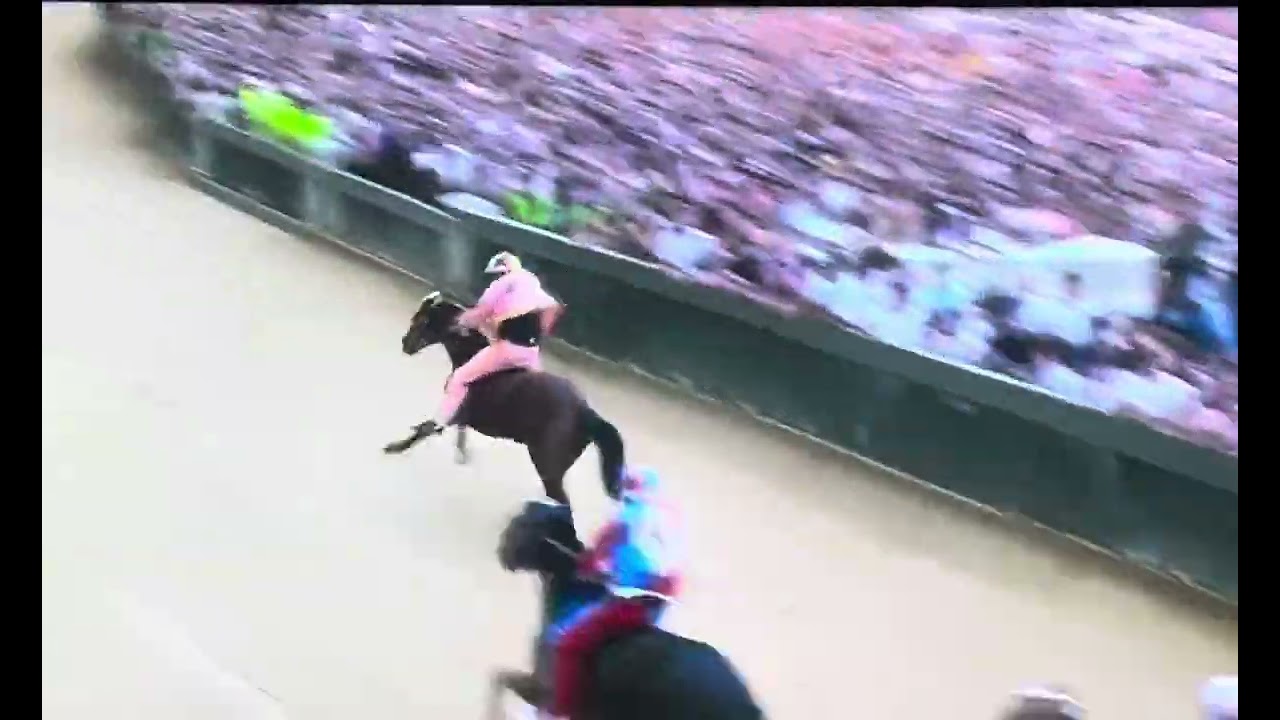 Palio Siena 16 Agosto 2025 Vittoria Valdimontone. #palio #paliosiena