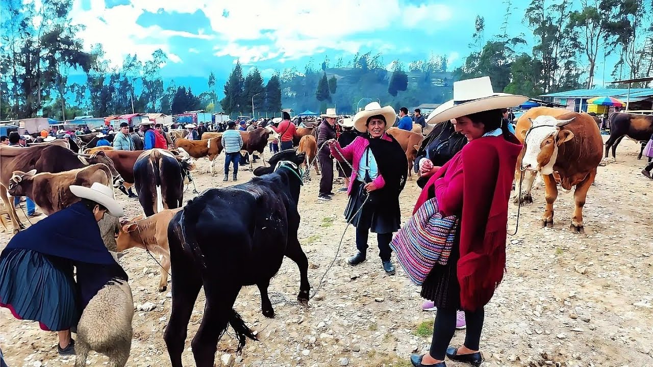 🐂 La FERIA de ANIMALES más BARATO de BAMBAMARCA 🇵🇪 