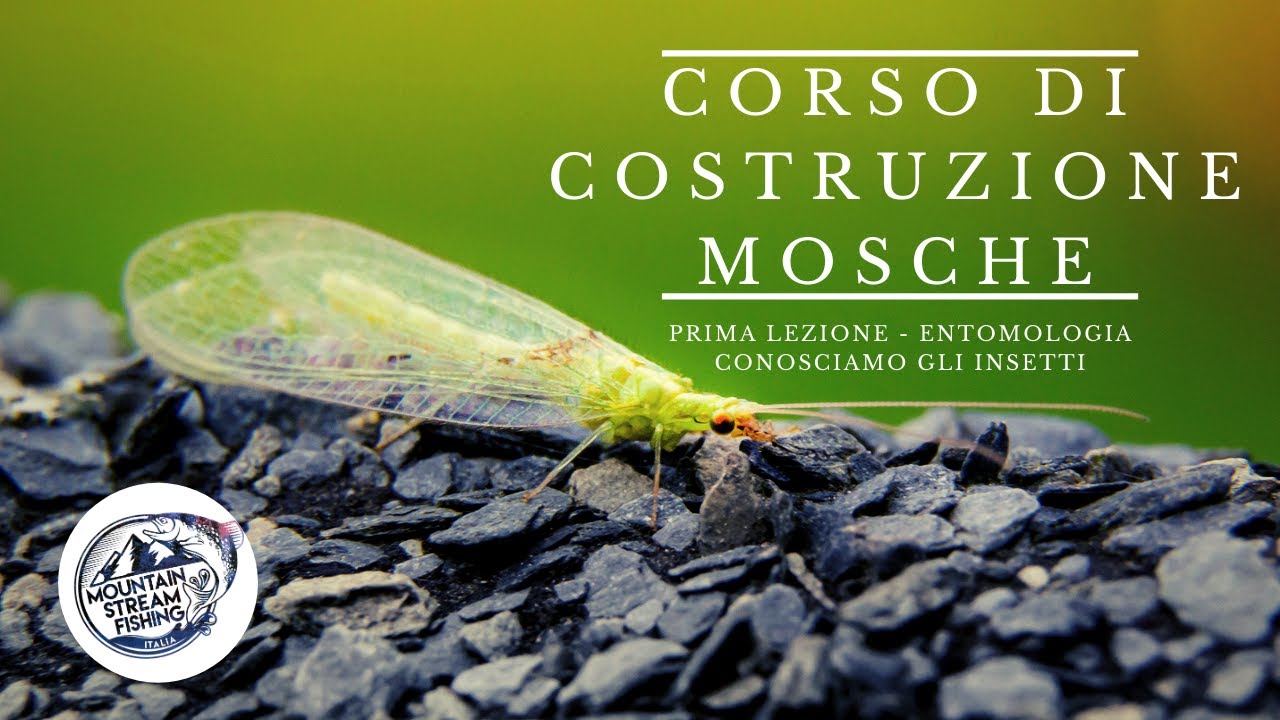 CORSO COSTRUZIONE MOSCHE - 1° Lezione: Entomologia [live Fly Angling Club Brianteo - Pigi Ferrario]
