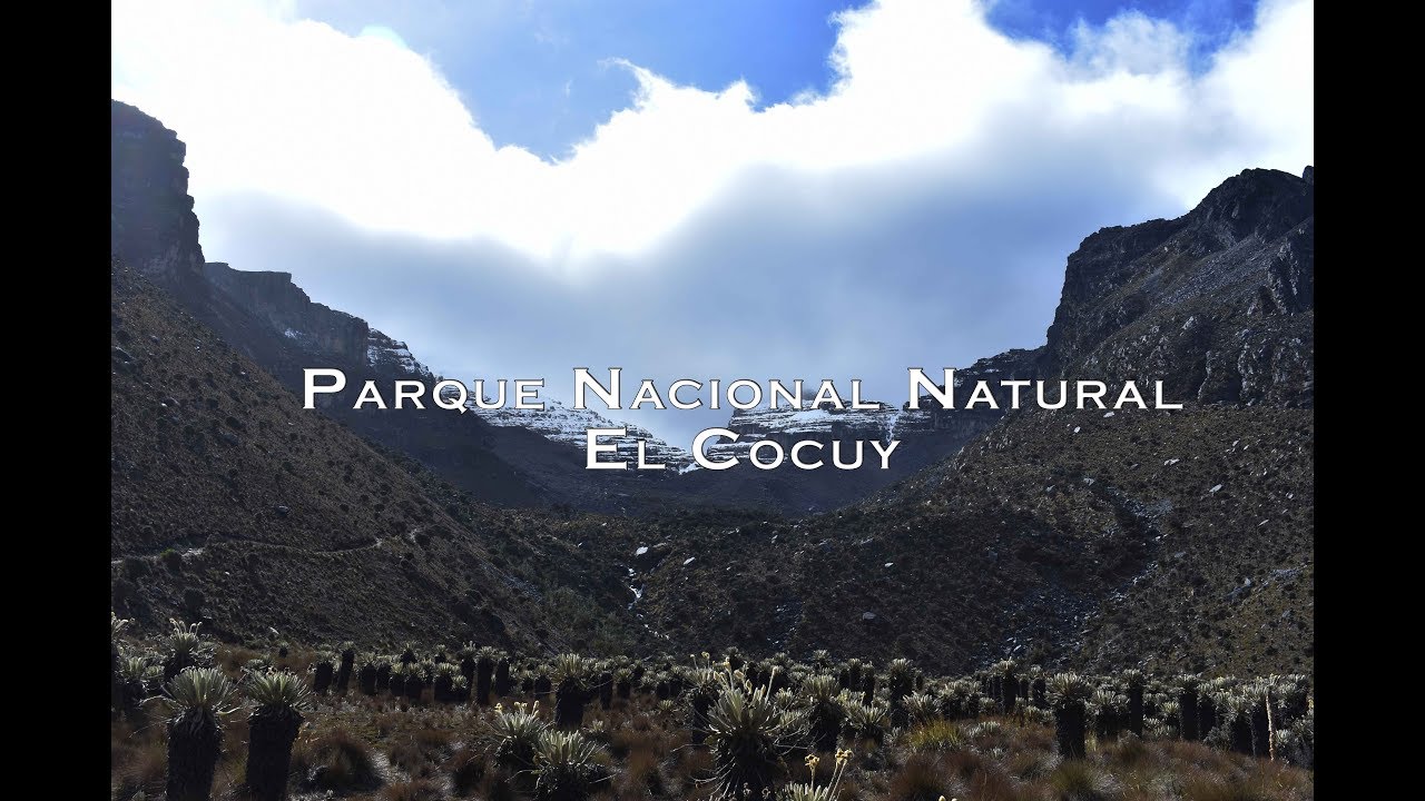 NEVADO DEL COCUY LO QUE NECESITAS SABER PARA SUBIR A LA SIERRA