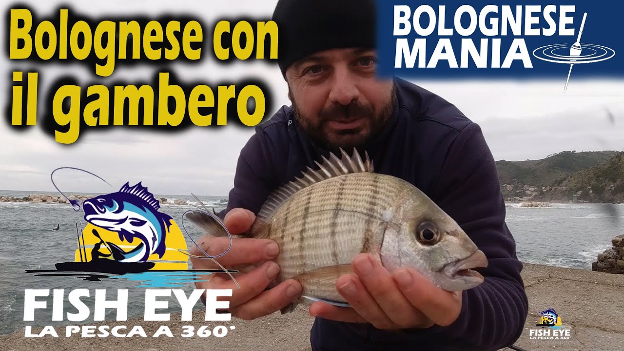 Pesca a bolognese nella risacca con il gambero