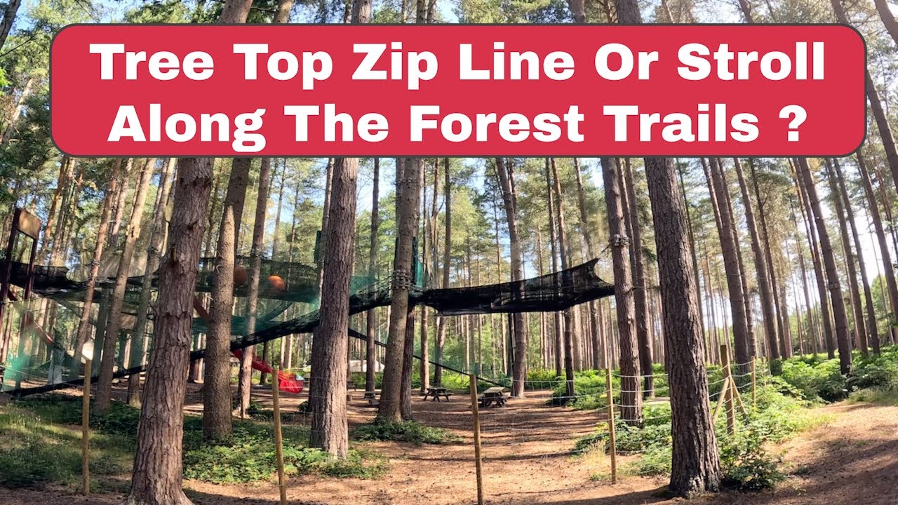 Exploring Sherwood Pines Visitor Centre & Go Ape Adventure | Nottinghamshire’s Hidden Gem
