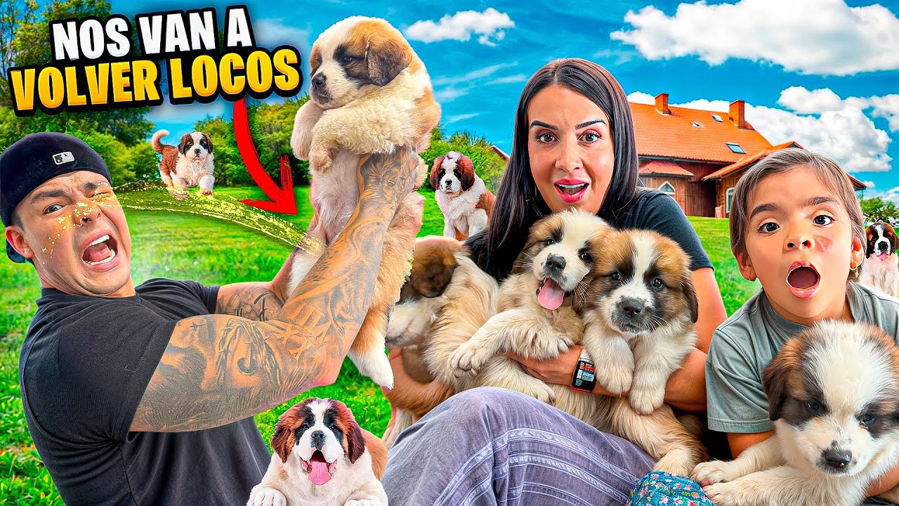 24 horas siendo PAPÁS de cachorros🐶¡ESTO PASO!😱