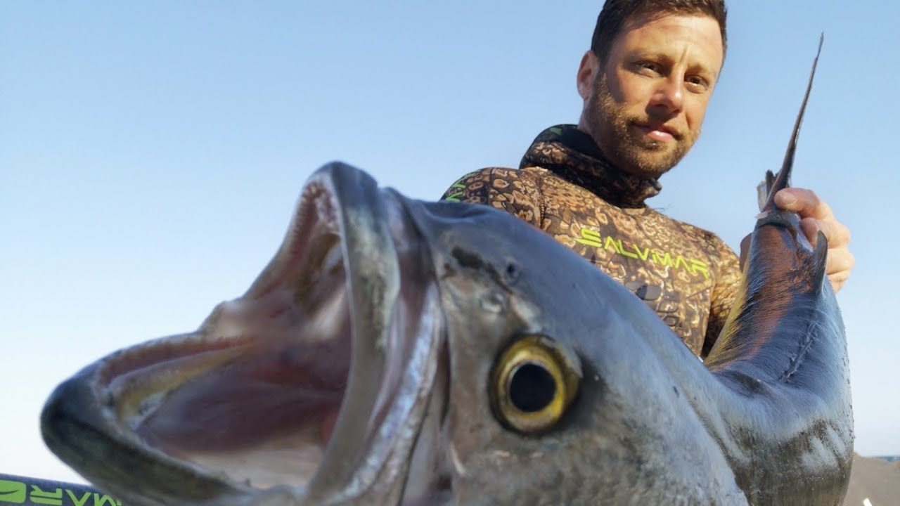 Pesca sub: Pesce serra di grosse dimensioni con Concetto Felice by salvimar