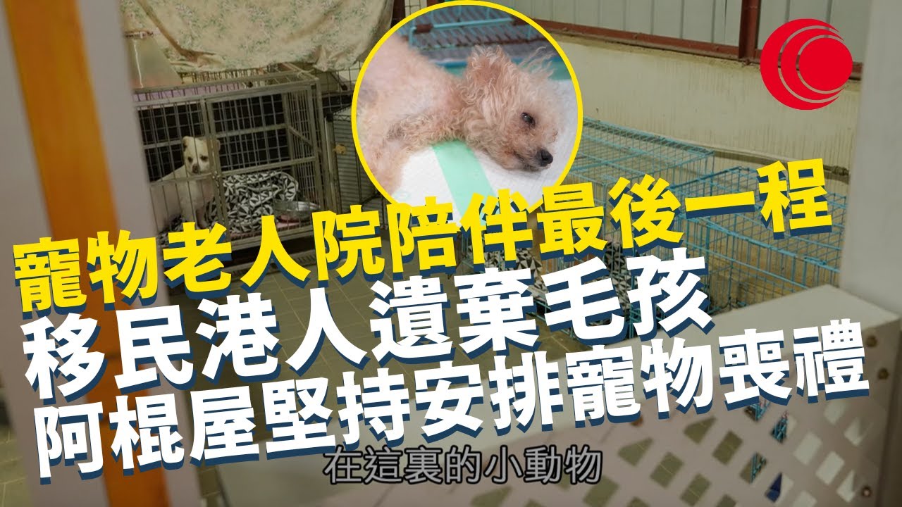一線搜查｜移民港人遺棄狗狗 寵物老人院陪伴最後一程 阿棍屋堅持安排寵物喪禮 送走心愛小動物｜上水賣藥黨再現！ 街坊騙局大生意 人龍不絕全靠演員｜332集｜有線新聞 丘靜雯 林靜莉｜HOY TV 77台