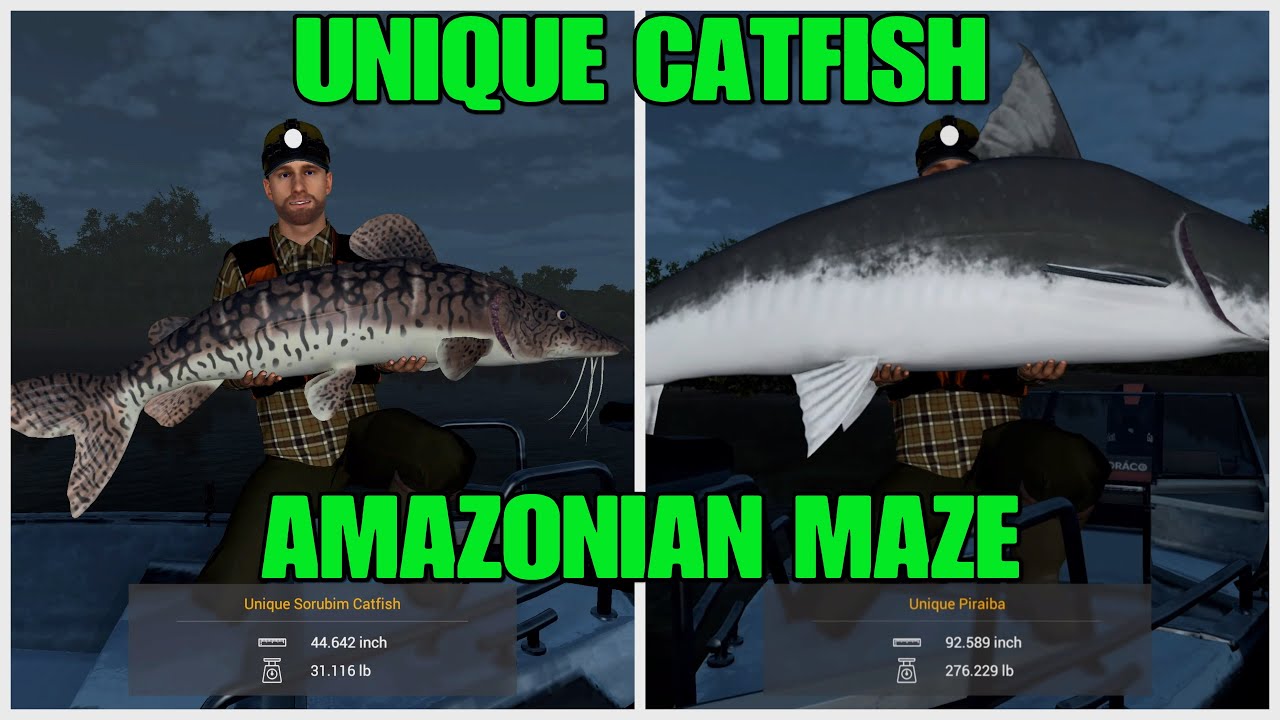 Unique Catfish Guide But With Lure - At The Amazonian Maze - Fishing Planet