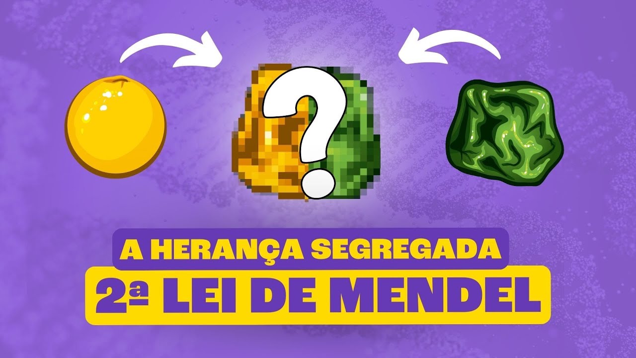 Segunda Lei de Mendel: A Herança Segregada!