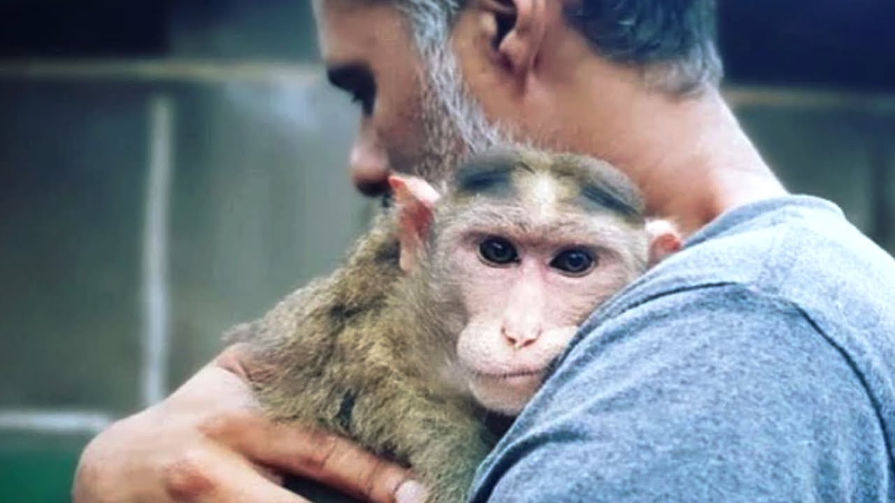 This Man Cares For More Than 500 Animals At His Shelter In India! | Rescue Tales