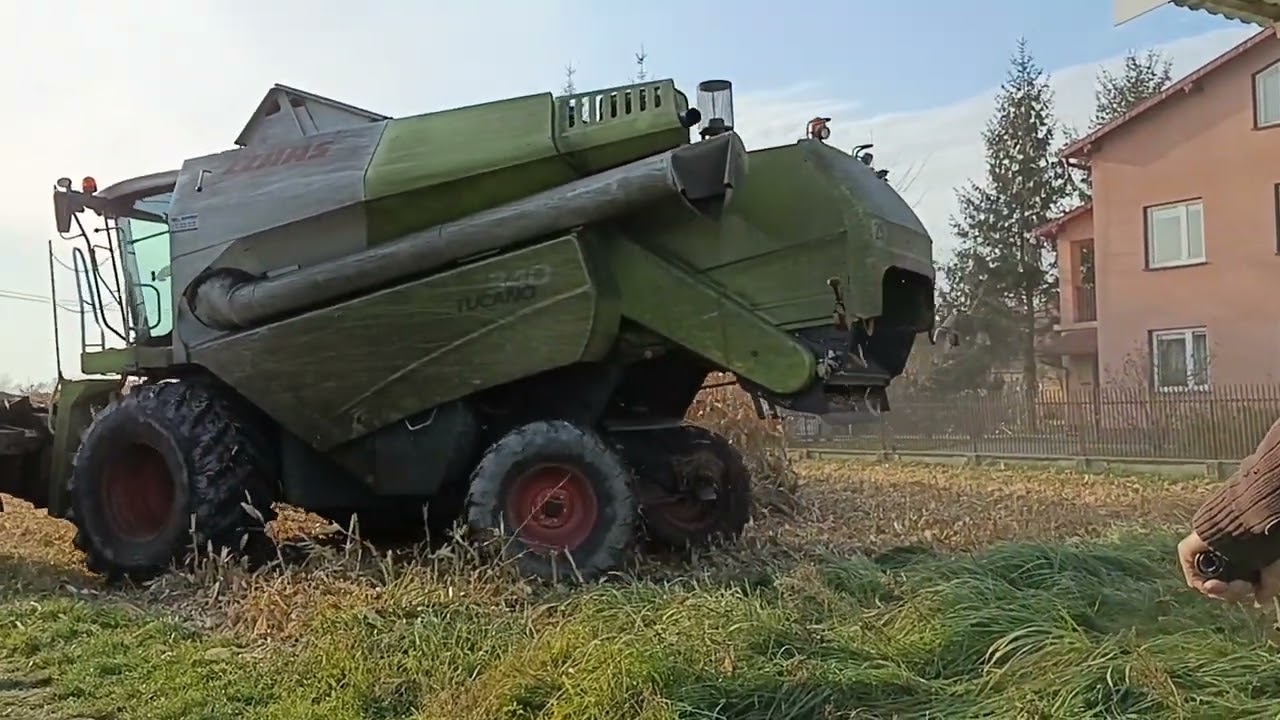 Żniwa kukurydzy 2022 - Claas tukano 340 i Fendt 936+dwie HL w akcji