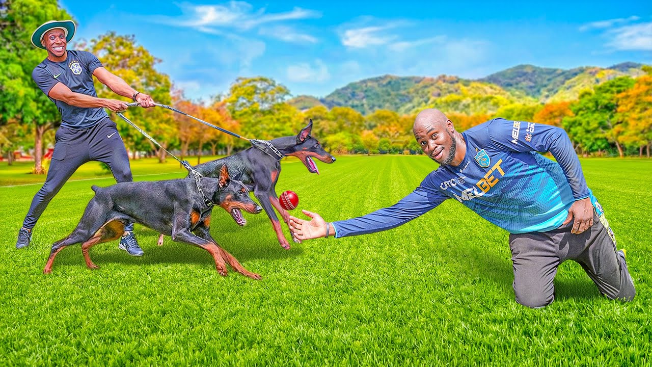 Can He Catch A Cricket Ball Under Dog Attack & WIN $100USD?