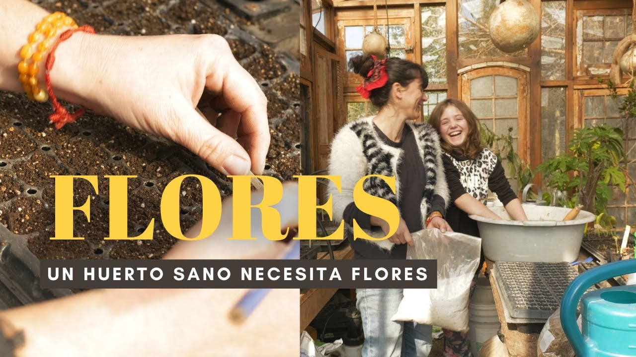 Tu Huerto necesita Flores! #Unasiembradiaria | Siembra flores para un huerto sano
