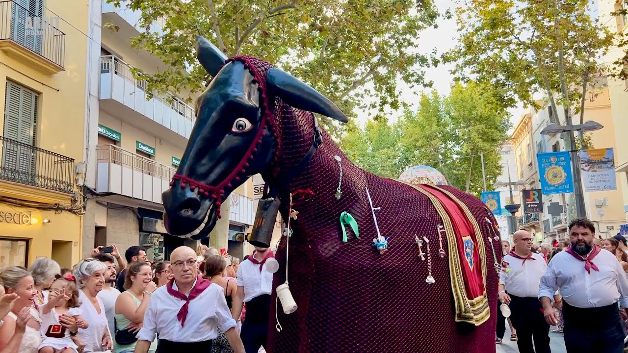 Les MULASSES de Vilanova i la Geltrú, la Cabreta, la Presumida, la Boja (Festa Major 2025)