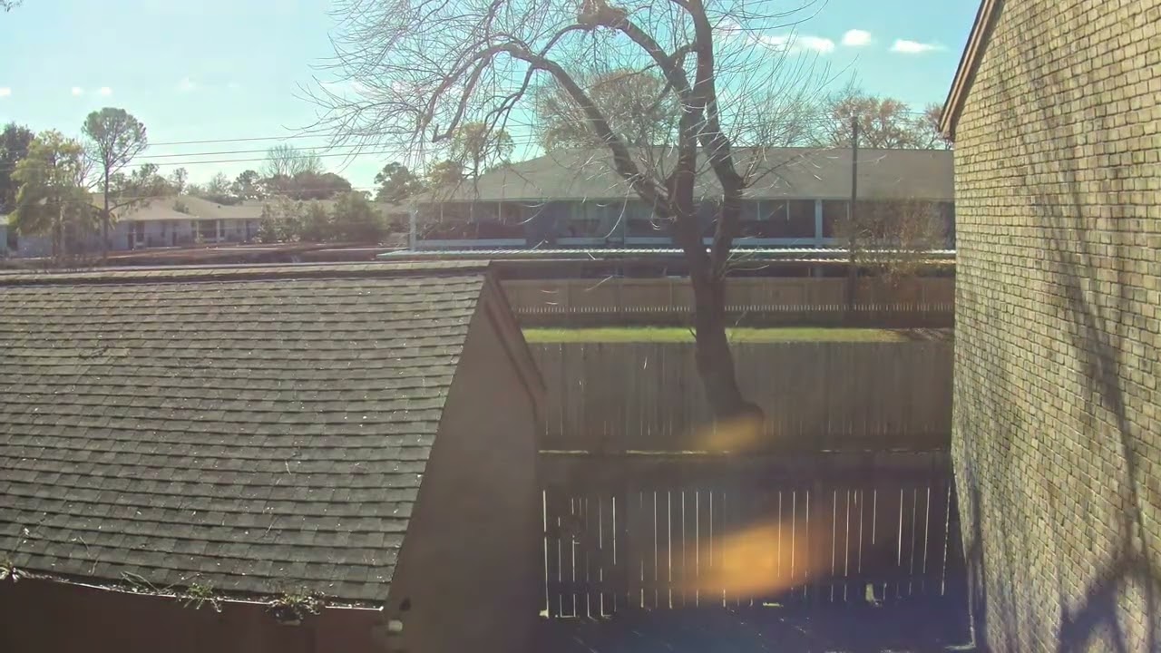 Backyard Timelapse 202602 February