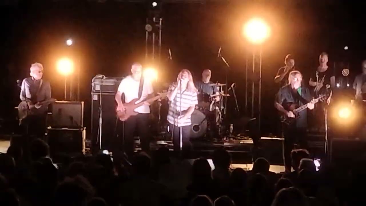 The Saints ('73-'78) - No Time  - Live at Zed50, Brisbane, 2025-10-25