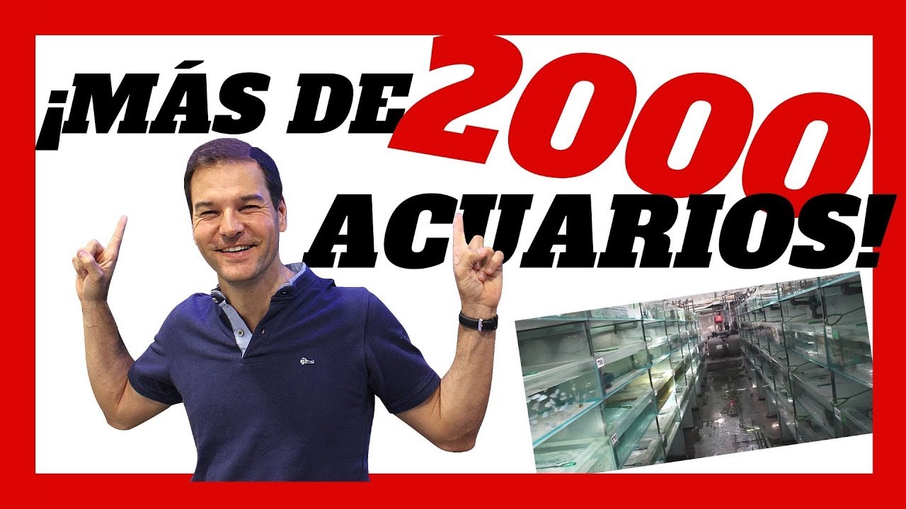 Instalaciones de ICA en Madrid una pasada!! 🐠🐠
