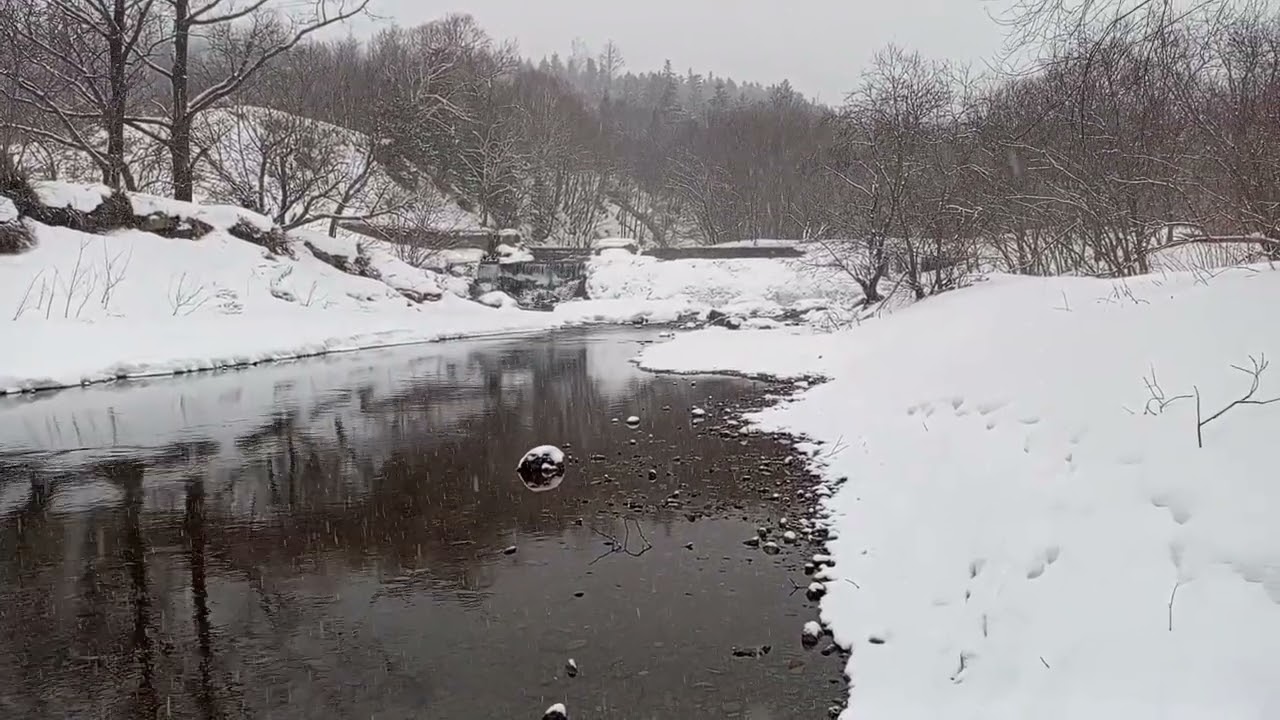 28.02.2026. Сахалин. Река Рудановского.     Sakhalin  Island.The  Rudanovsky  River.