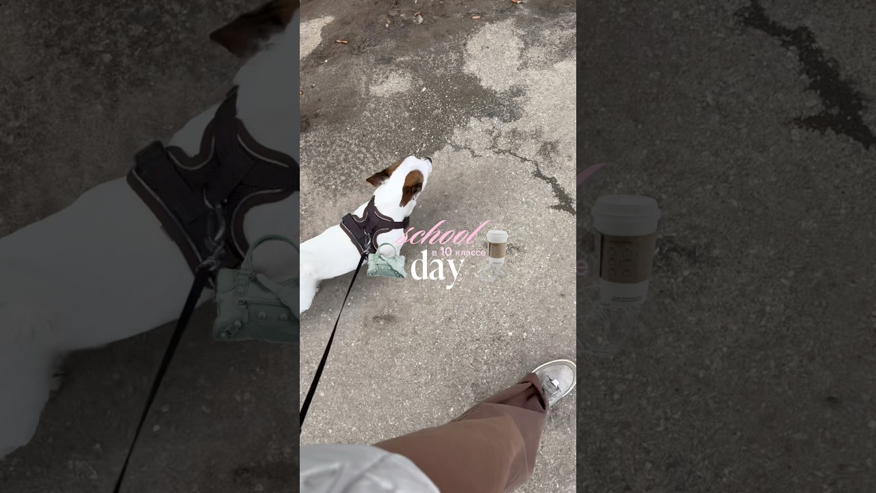 мой учебный день // тг: Anyxxs #fyp #fypシ #fypシ゚viral #vlog #vlogs #school #влог #школа #myday