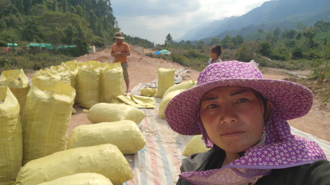 mu pab kuv niam kawv yawm qos os