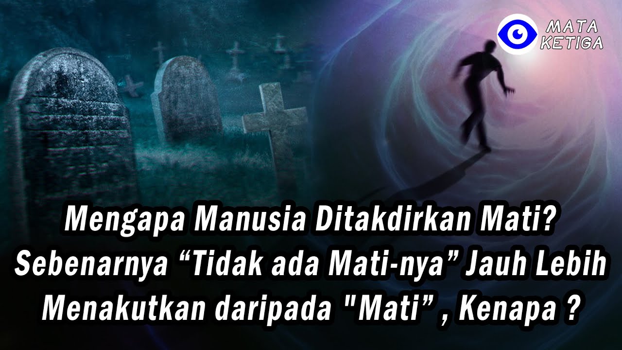 Mengapa Manusia Ditakdirkan Mati? Jika “Tidak ada Mati-nya” Jauh Lebih Menakutkan daripada 