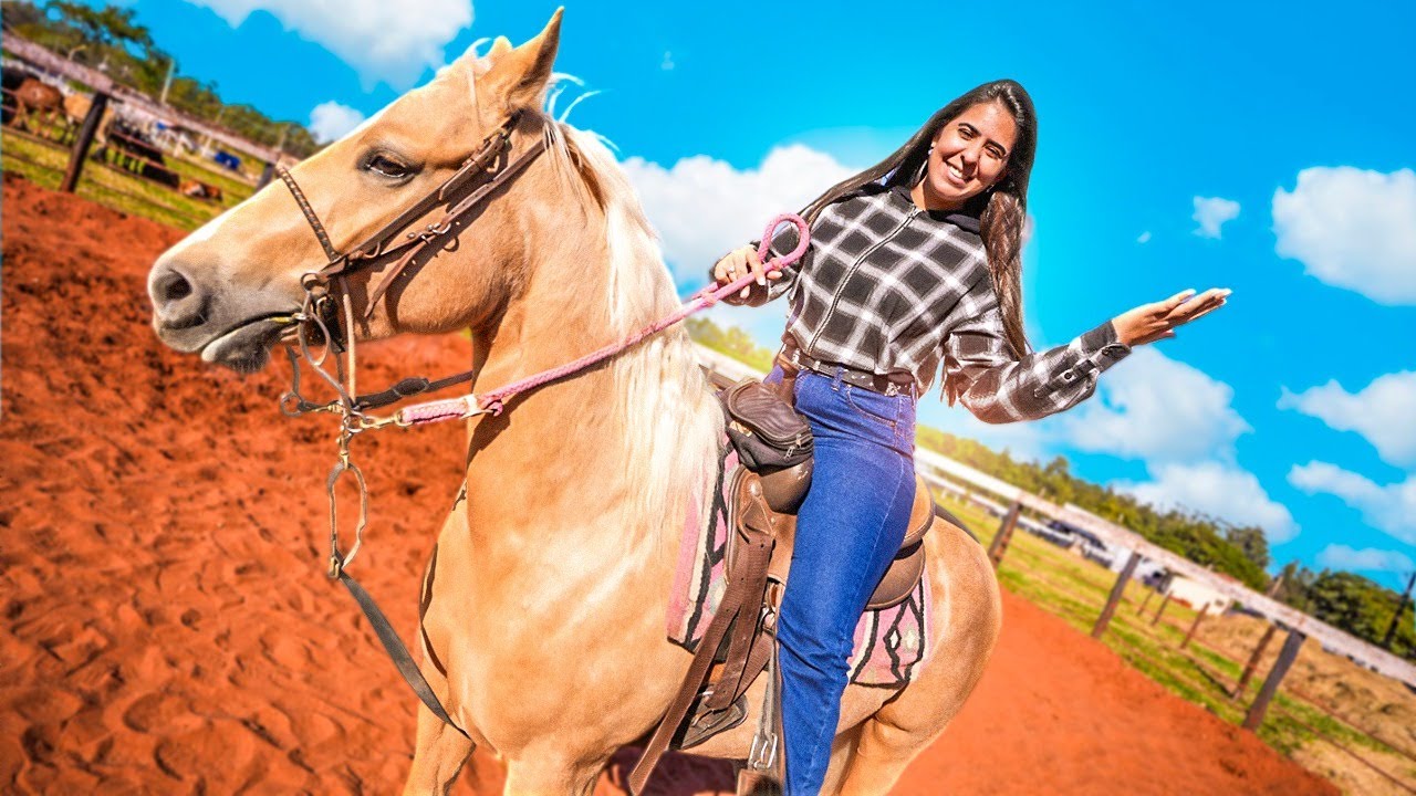 ME APAIXONEI NESSES CAVALOS 😍 *vou escolher um*