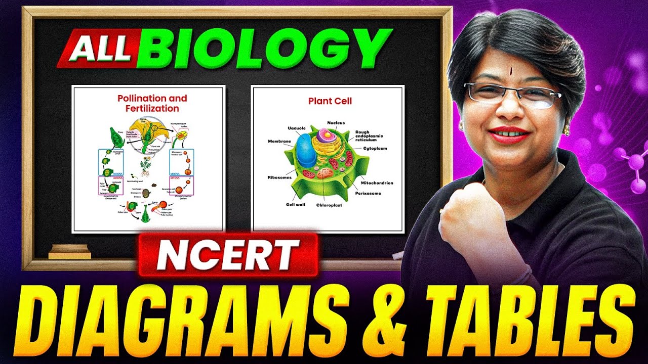 Complete Biology NCERT Diagrams & Tables in One Shot🔥 | NEET 2025