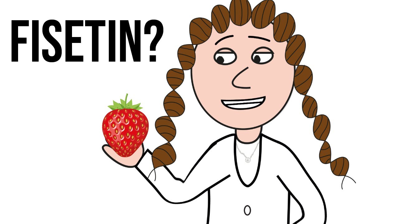 Fisetin (senolytic potential)?