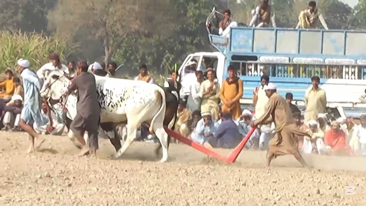 Mala Ryk Iqbal Abad Saeed Ahmad chohan 