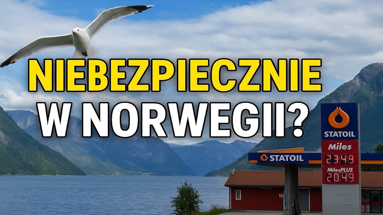 Q&A: Czy Wracamy do Polski? Życie, Praca i Imigracja w Norwegii | Pytania od Was