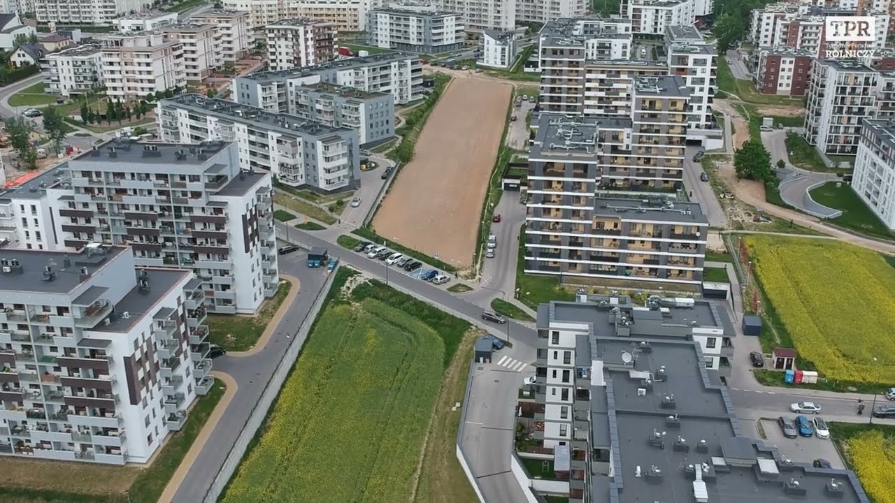 W Lublinie między blokami szykują się żniwa konopi włóknistych