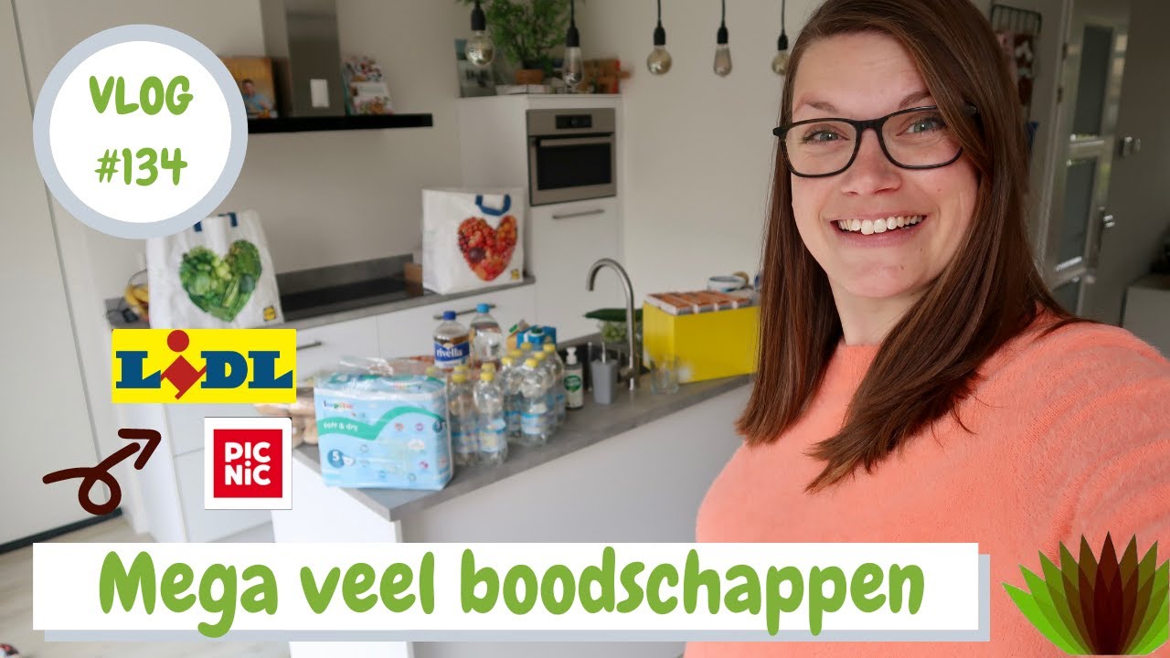 MEGA boodschappenshoplog LIDL + PICNIC & wat eten we vandaag?! 🛒 NADEEL van ONLINE 🛒 I Puur Jorieke