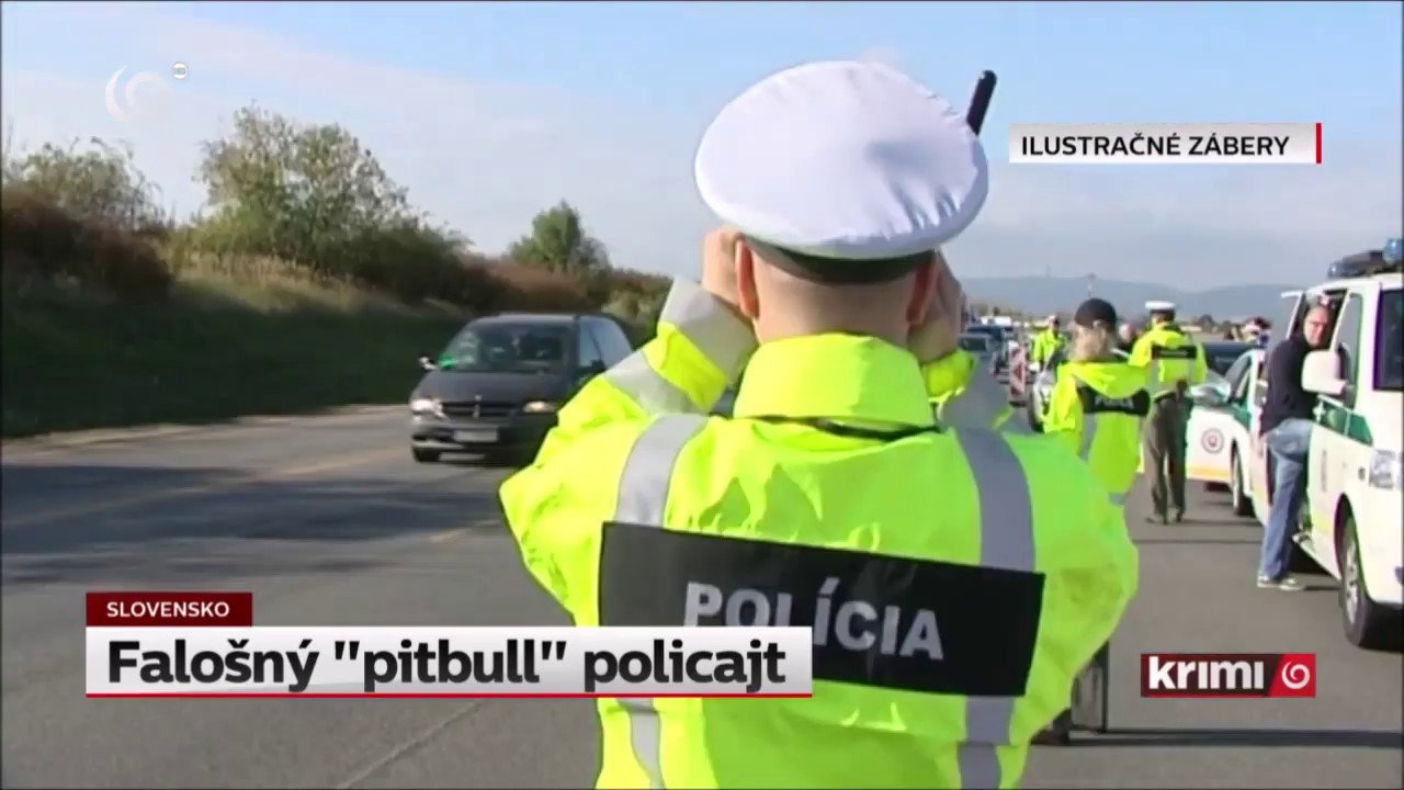 Falošný policajt 