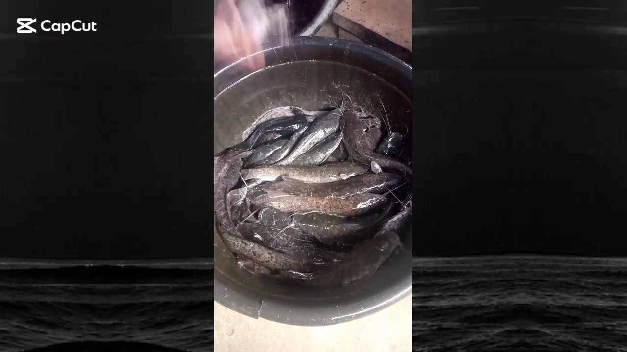 Fish Processing (using charcoal heat method)
