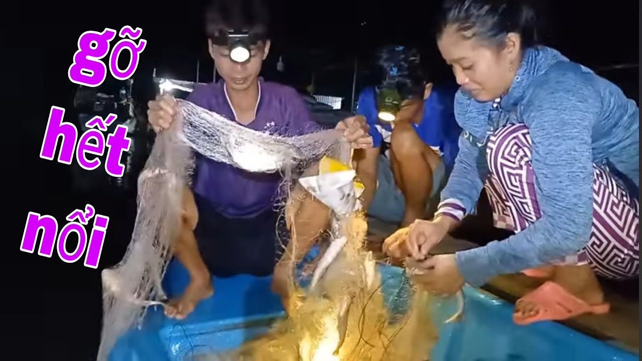 Trong Đời Mới Thấy Cảnh Này Sông Tiền Thất Thủ Khi Trúng Bầy Cá Sác # SĂN BẮT ĐỒNG THÁP #