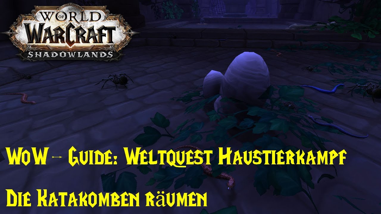 WoW-Guide: Weltquest Haustierkampf - Die Katakomben r&auml;umen - Uralte Katakombeneier