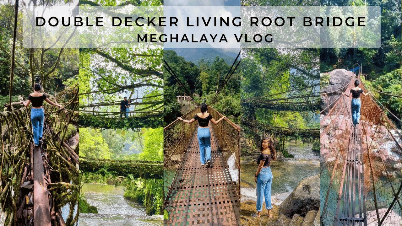 Trek to Double Decker Living Root Bridge in Cherrapunji MEGHALAYA | How Long Does It Really Take? 🤔