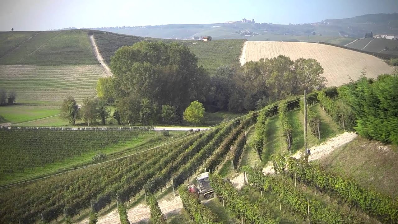 Enoturismo - Cantina Franco Conterno - Barolo