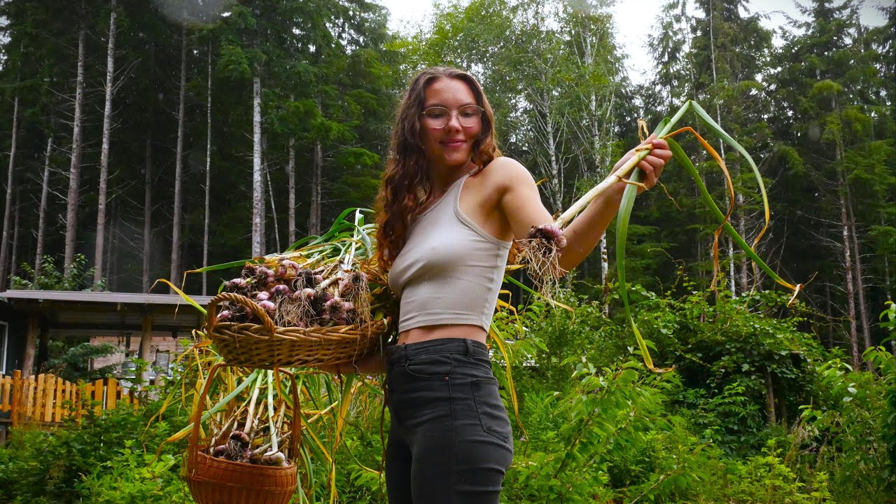 Harvesting Garlic👩‍🌾| Real Italian Aglio e Olio & Carrot Top Pesto