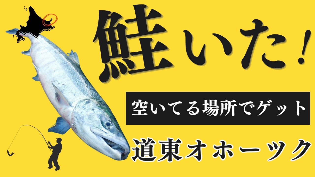 【北海道】【釣り】ヒットシーン連発‼空いてる場所でサケ満喫♡ラスト１投でまさか…＃サケ釣り＃ウキルアー