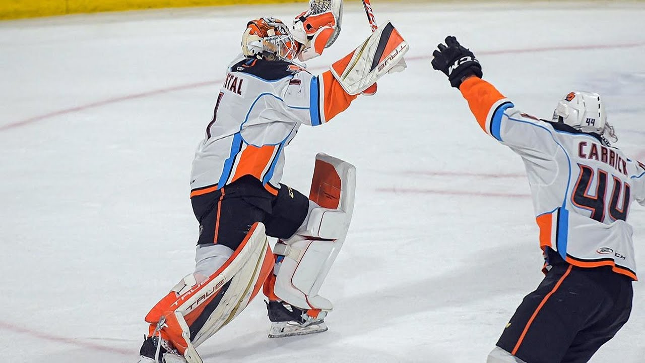 Lukas Dostal Scores Goalie Goal With Empty Netter