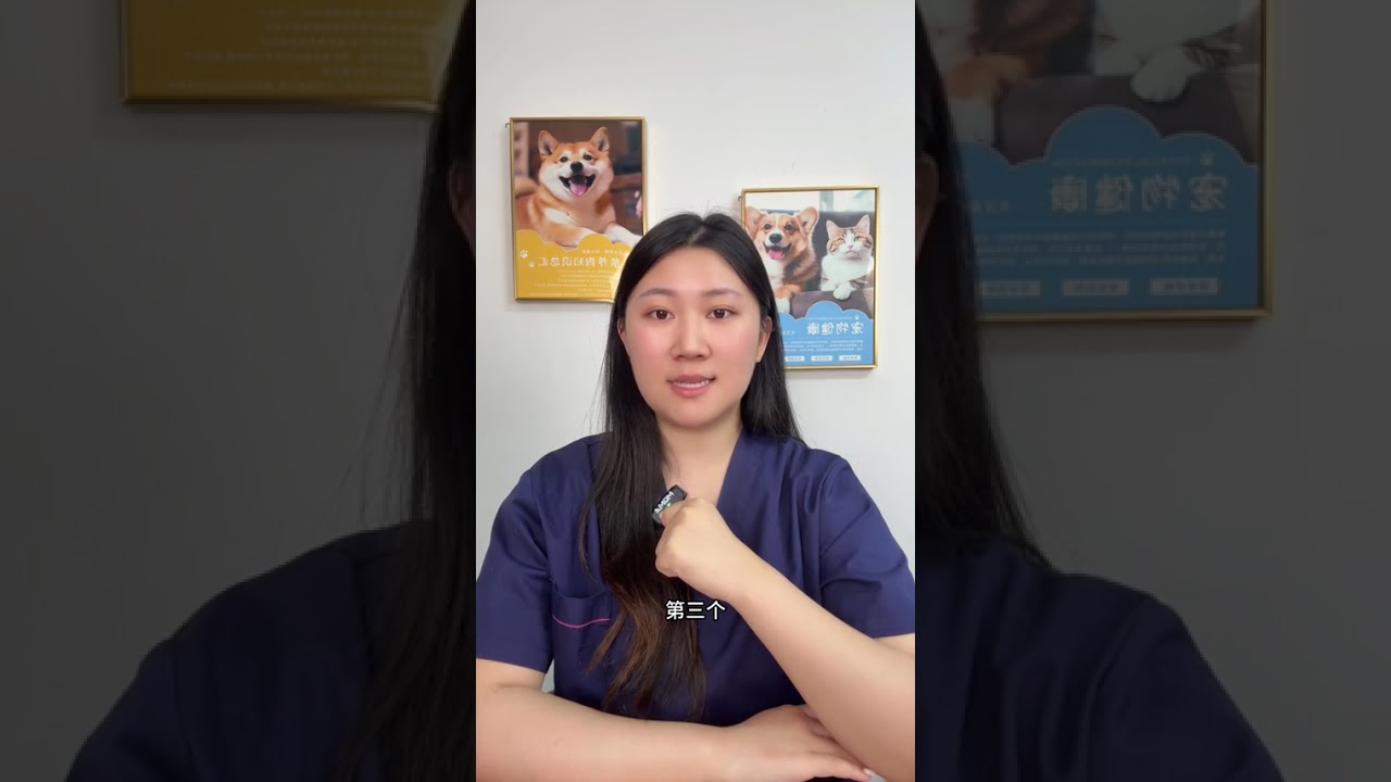 Can Dogs Sleep in the Bed? A Dog Owner's Perspective