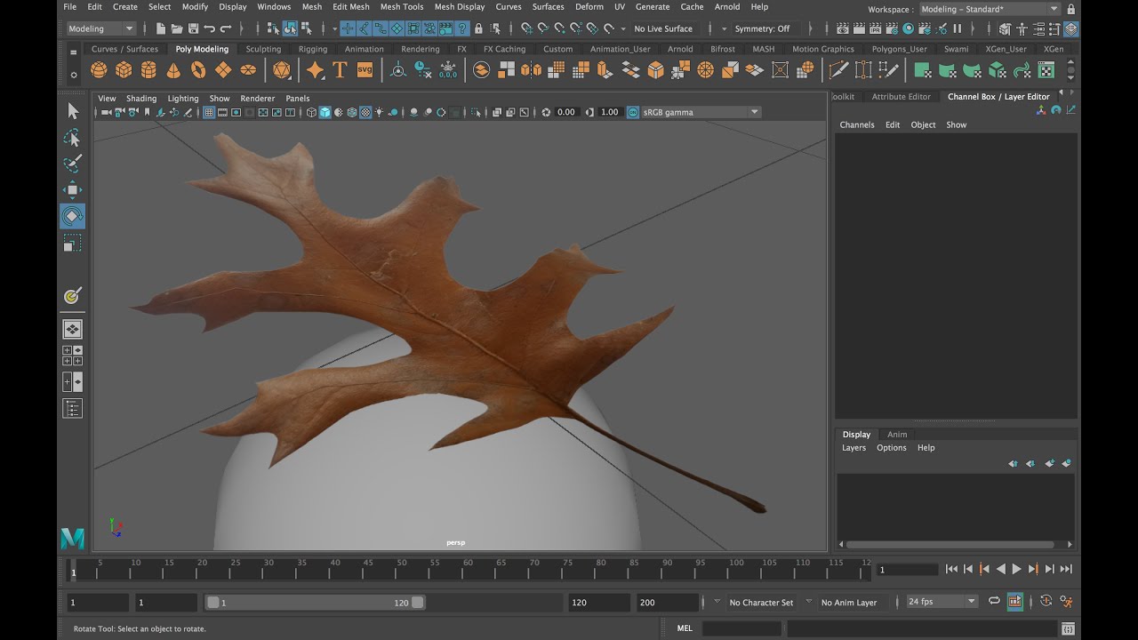 Making a Leaf in Maya