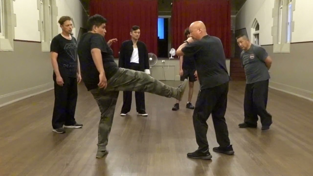 Mastering the Art of Ten-Step Praying Mantis Kung Fu: Techniques, Applications, and Drills Revealed!