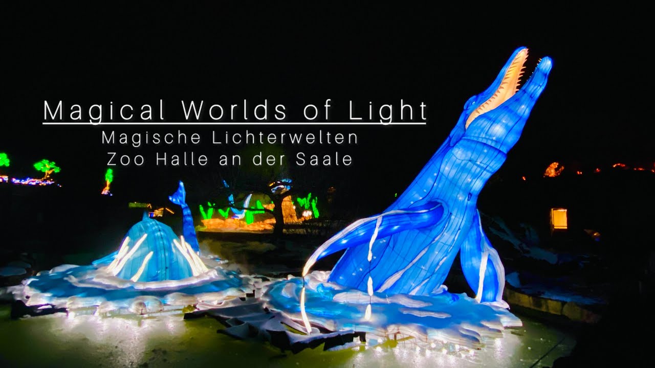 Magische Lichterwelten - Halle  2025 🇩🇪 - Magical Worlds of Light #hallesaale #lichterwelten #zoo