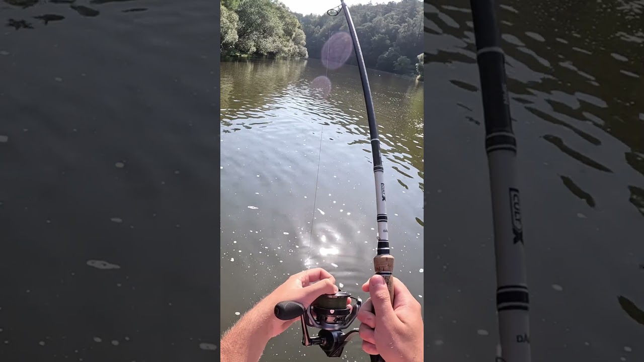 Obrovsk&aacute; ryba na př&iacute;vlač😱Tak tohle nechce&scaron;🤣 #bigfish #fishing #rybařen&iacute;