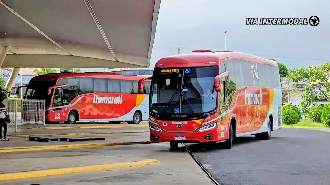 Movimentação de Ônibus na Rodoviária de Fernandópolis (SP) | 2026 